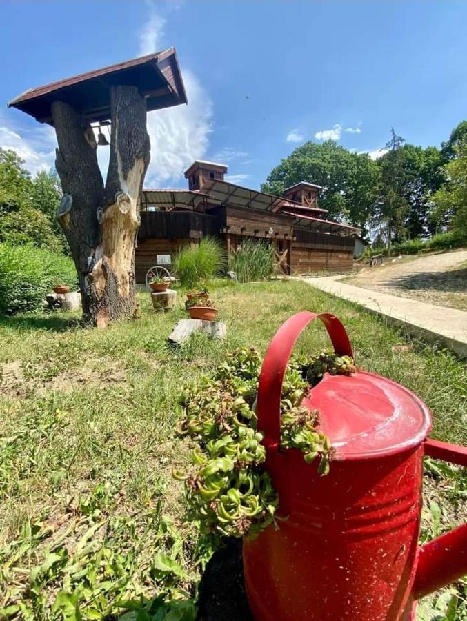 Barathegyi Panzio Es Elmenypark Bed & Breakfast Miskolc Exterior photo